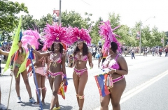 Caribana 2013 - N