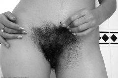 Hairy Places - N