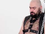 BEARFILMS Wild BDSM Bareback With Bear Silian And Tom Fox